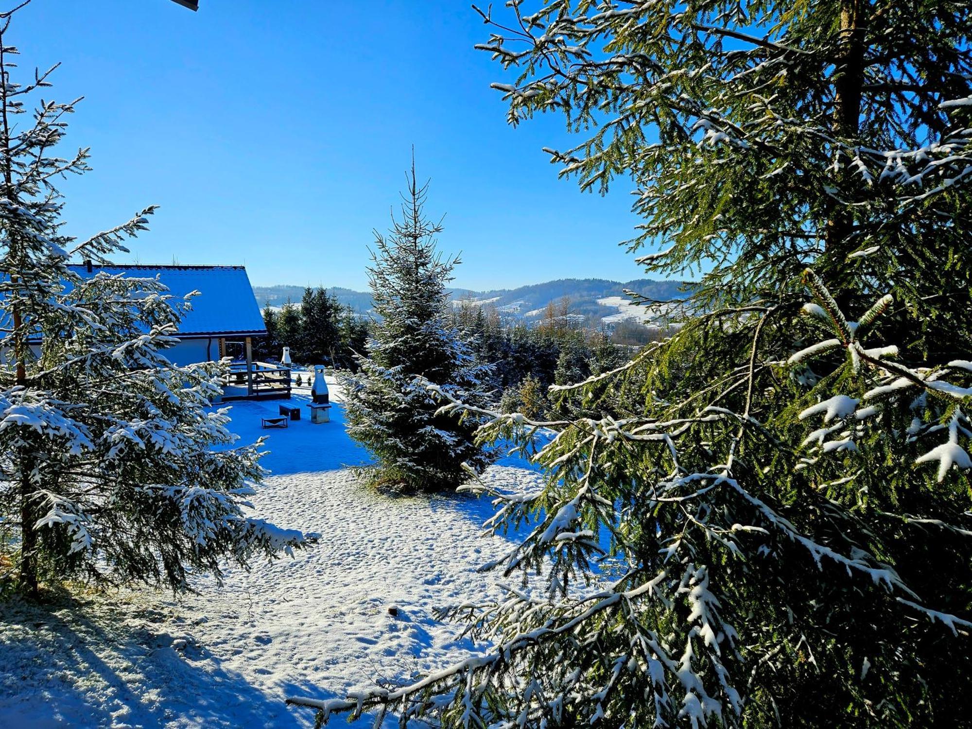 Bieszczadzka Pauza Villa Polanczyk Luaran gambar