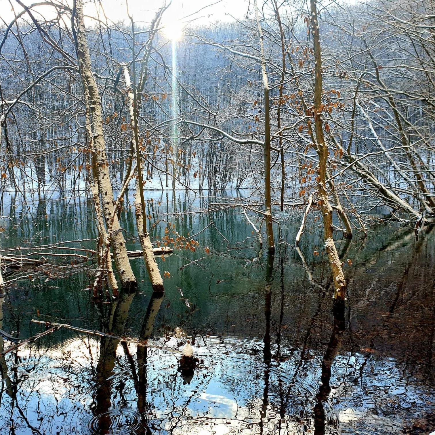 Bieszczadzka Pauza Villa Polanczyk Luaran gambar