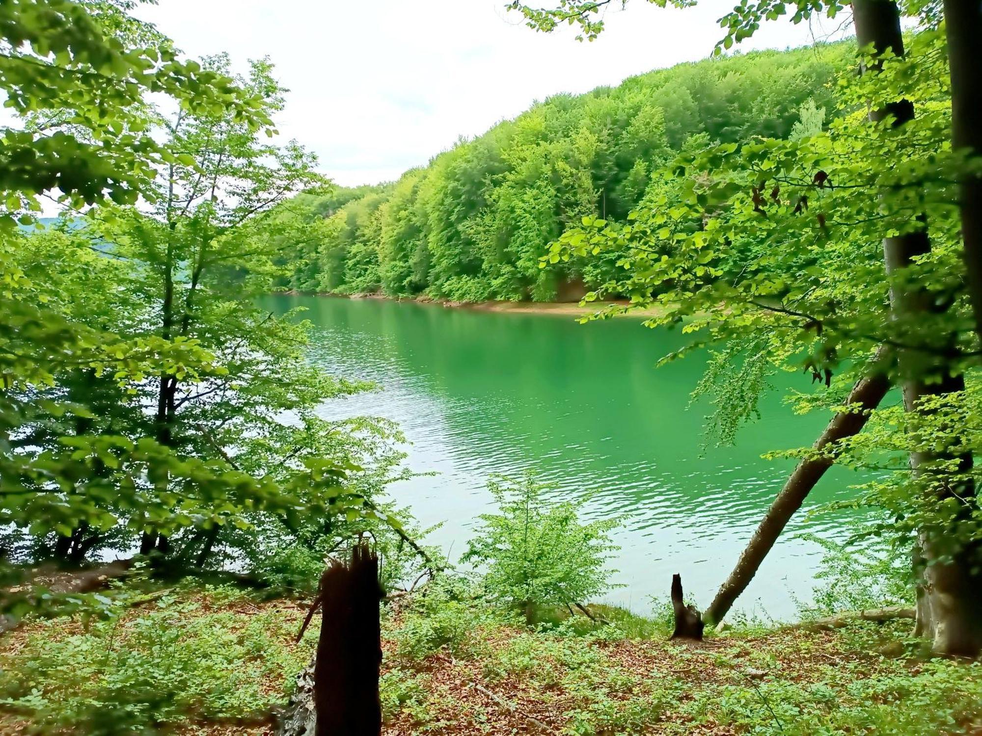 Bieszczadzka Pauza Villa Polanczyk Luaran gambar